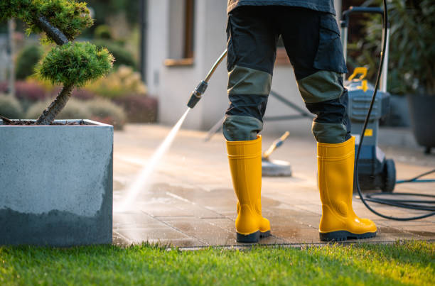 Best Roof Power Washing Services  in USA